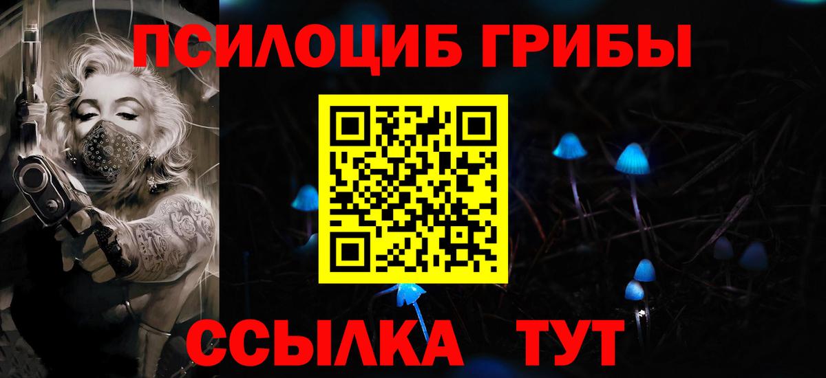 Галлюциногенные грибы Psilocybine cubensis  Вход с VPN  наркотики  Усть-Джегута  Галлюциногенные грибы MAGIC MUSHROOMS 